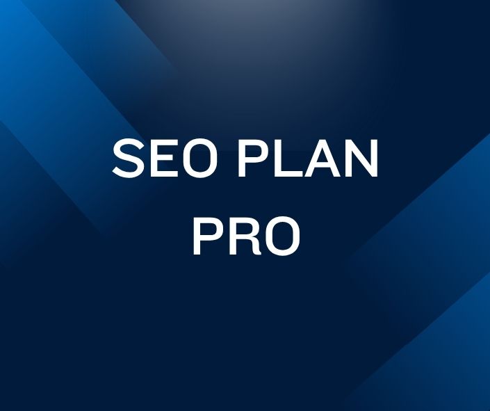 SEO Plan Pro